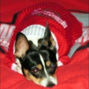 Meet your Posher, Robyn